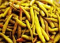 Acı Biber Turşusu 6 Kg Kova Cenkci