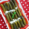 3 Nolu Salatalık Turşusu Kova Net 10 kg Cenkci