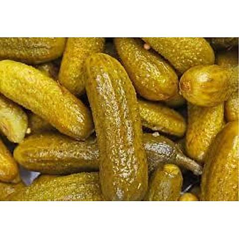 3 Nolu Salatalık Turşusu Kova Net 10 kg Cenkci