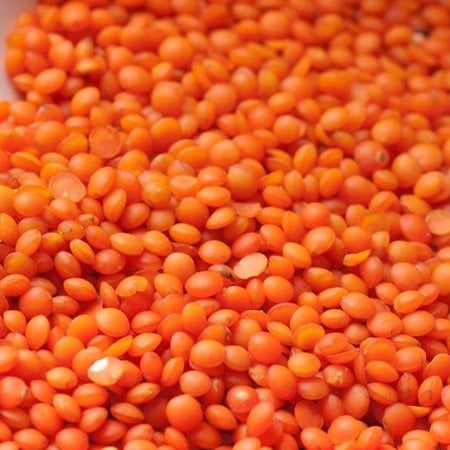 Kırmızı Mercimek Yerli 25 kg